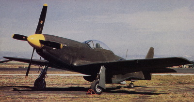 XP-51D 43-12102 colour